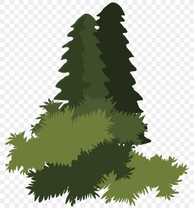 Spruce Abies Religiosa Bosque De Pino-encino Forest Plant, PNG, 870x934px, Spruce, Abies Religiosa, Christmas Tree, Conifer, Drawing Download Free