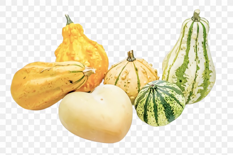 Vegetable Food Plant Cucurbita Gourd, PNG, 2448x1632px, Vegetable, Calabash, Cucurbita, Food, Fruit Download Free