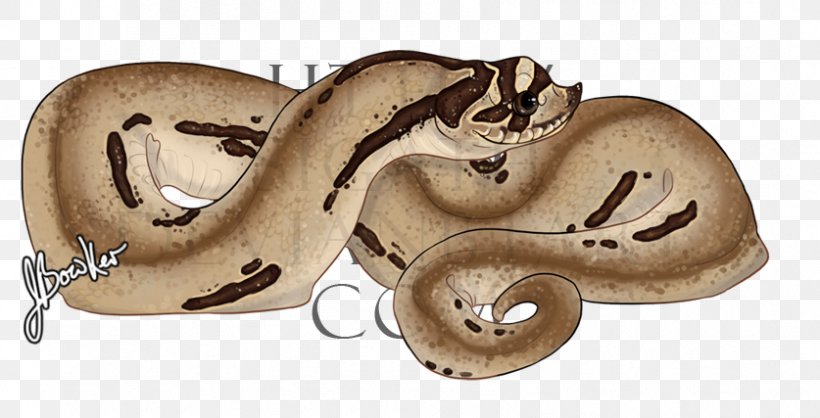 Boa Constrictor Body Jewellery Ear Animal, PNG, 837x427px, Boa Constrictor, Animal, Animal Figure, Boas, Body Jewellery Download Free