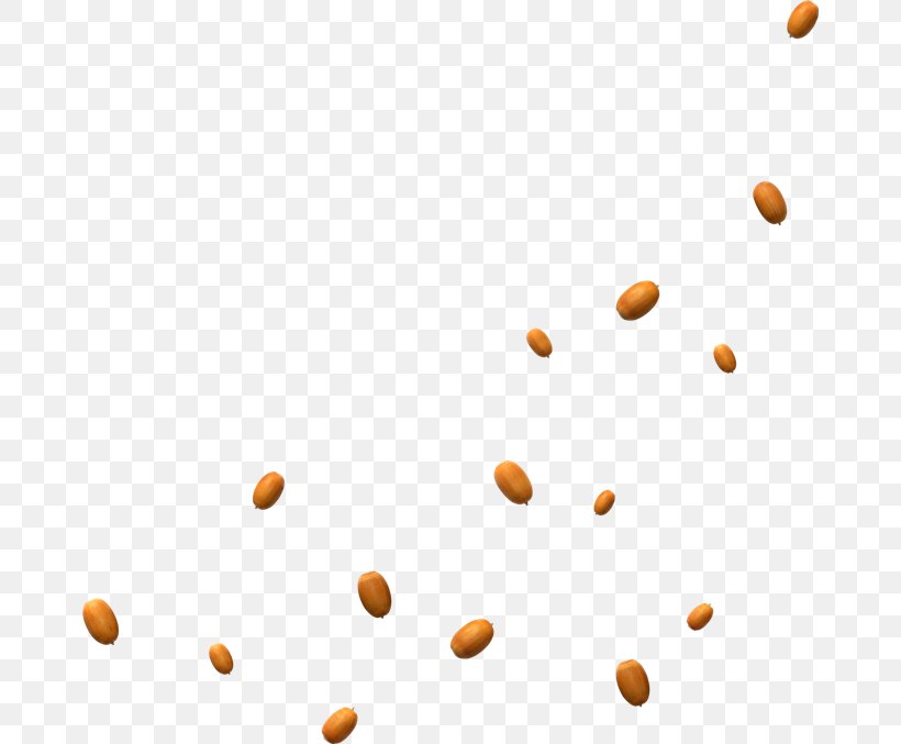 Nut Food Download, PNG, 670x677px, Nut, Almond, Apricot, Floating Material, Food Download Free