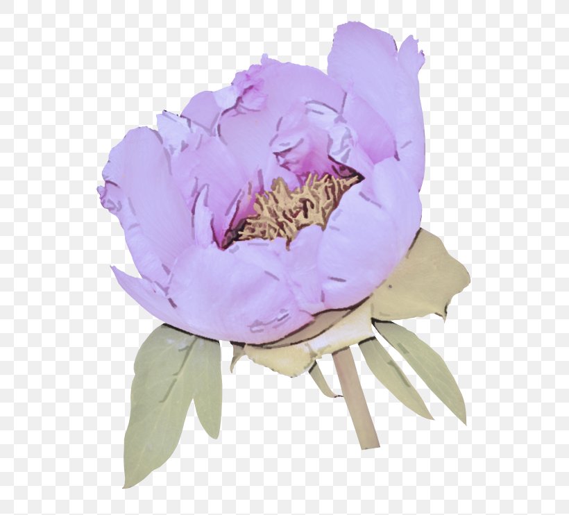 Petal Flower Common Peony Peony Pink, PNG, 600x742px, Petal, Chinese Peony, Common Peony, Flower, Flowering Plant Download Free