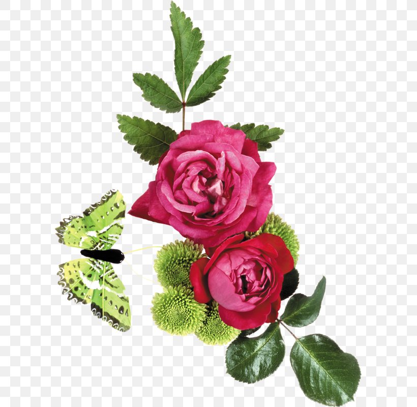 Garden Roses Flower Clip Art, PNG, 603x800px, Garden Roses, Artificial Flower, Blog, Cut Flowers, Email Download Free