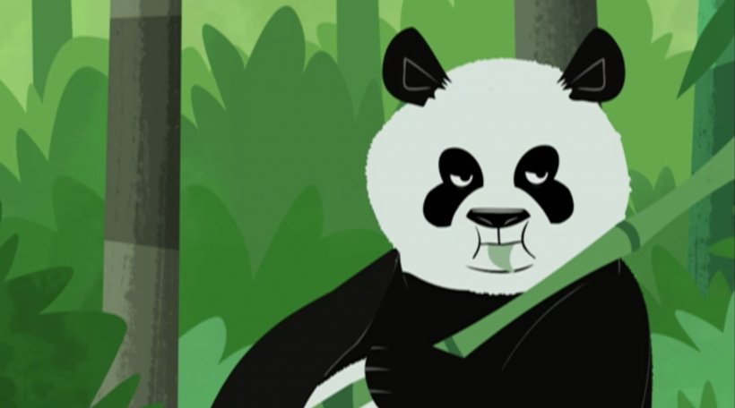 Giant Panda Wikia Animal Snout, PNG, 2000x1114px, Giant Panda, Ailuropoda, Animal, Bear, Carnivora Download Free