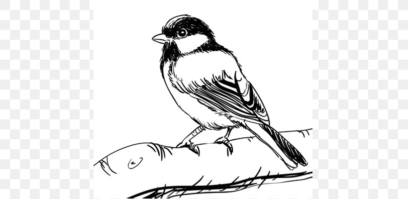 House Sparrow Drawing Birds Drawing Birds Sketch, PNG, 640x400px, House Sparrow, American Robin, Art, Artwork, Beak Download Free