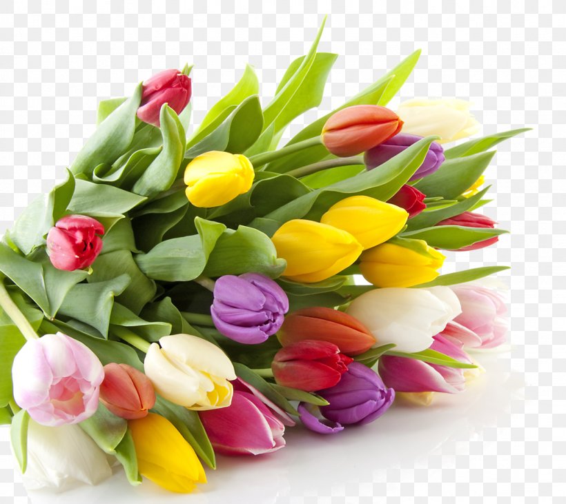 International Women's Day Woman Greeting Holiday Affection, PNG, 1024x914px, International Women S Day, Affection, Collective, Cut Flowers, Daytime Download Free
