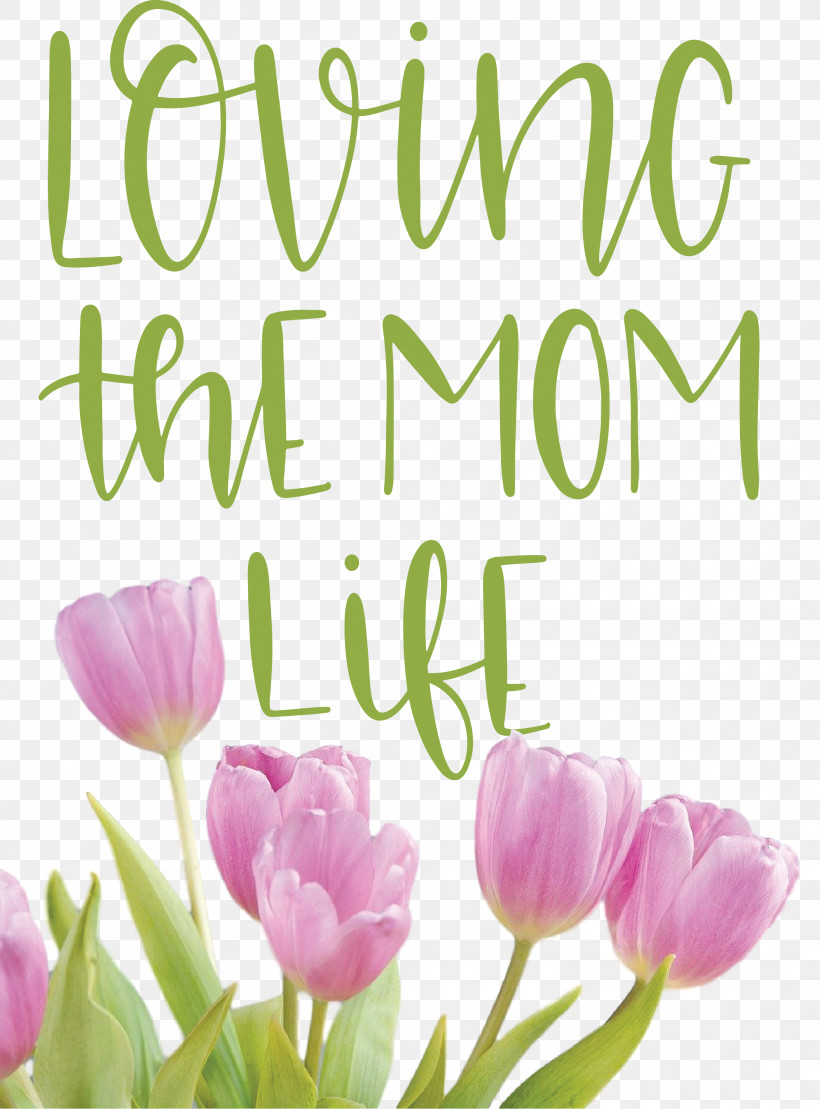 Mothers Day Mothers Day Quote Loving The Mom Life, PNG, 2090x2829px, Mothers Day, Biology, Cut Flowers, Floral Design, Flower Download Free