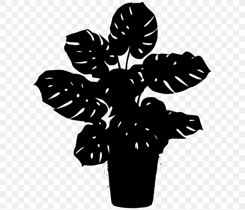 Swiss Cheese Plant Plants Houseplant Image Liana, PNG, 607x703px, Swiss Cheese Plant, Arums, Blackandwhite, Cheese, Flower Download Free