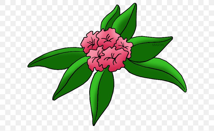 Washington West Virginia Rhododendron Clip Art, PNG, 648x501px, Washington, Drawing, Flora, Floral Design, Floristry Download Free