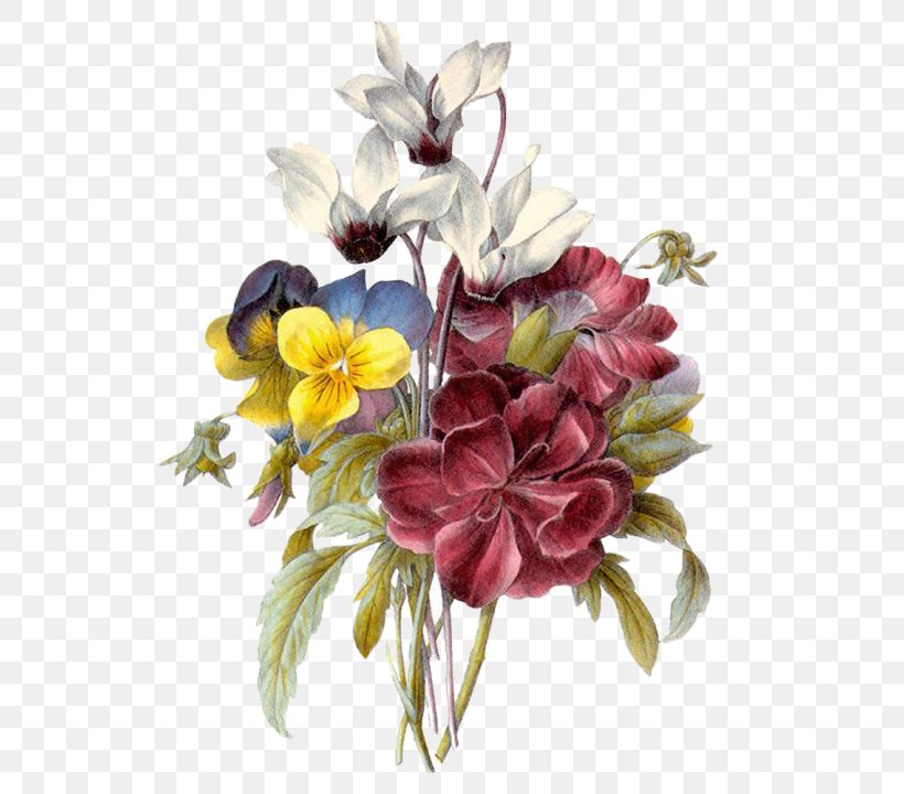 Animation Blog Desktop Wallpaper Hi5, PNG, 720x720px, Animation, Artificial Flower, Blog, Cut Flowers, Floral Design Download Free