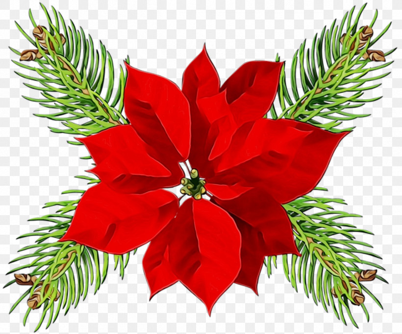 Christmas Decoration, PNG, 1263x1053px, Watercolor, Christmas Decoration, Christmas Ornament, Colorado Spruce, Flower Download Free