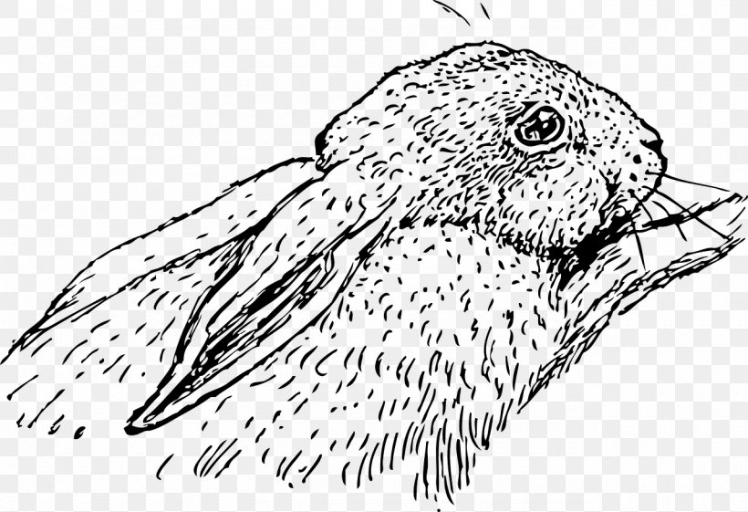 Domestic Rabbit Hare Easter Bunny Clip Art, PNG, 1280x877px, Domestic Rabbit, Artwork, Beak, Bird, Bird Of Prey Download Free