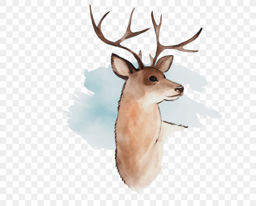 Reindeer, PNG, 1080x869px, Watercolor, Antler, Deer, Elk, Fawn Download Free