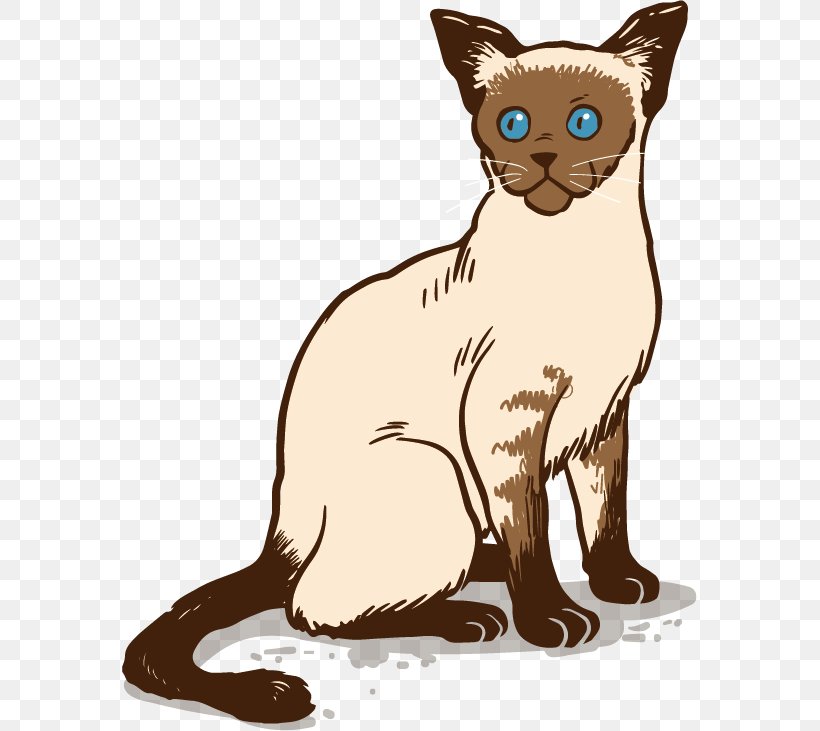 Siamese Cat Ragdoll Bengal Cat British Shorthair Russian Blue Png