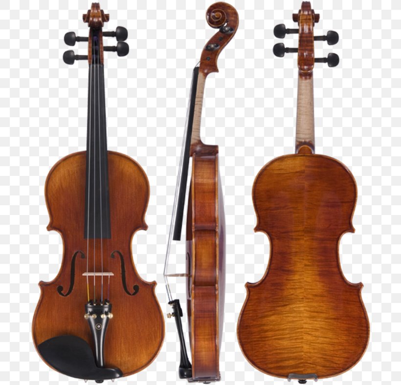 Violin Amati String Instruments Guarneri Viola, PNG, 700x788px, Watercolor, Cartoon, Flower, Frame, Heart Download Free