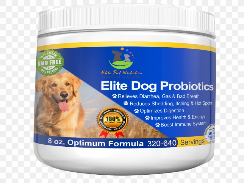 Dog Probiotic Dietary Supplement Cat Veterinarian, PNG, 1600x1200px, Dog, Cat, Diarrhea, Dietary Supplement, Dog Food Download Free