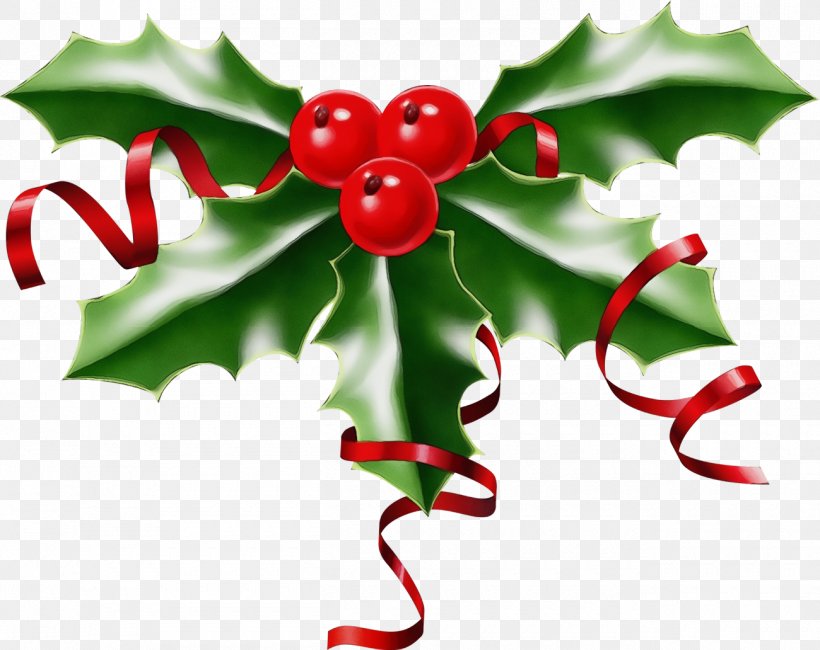 Holly, PNG, 1300x1032px, Holly, American Holly, Christmas, Flower, Hollyleaf Cherry Download Free