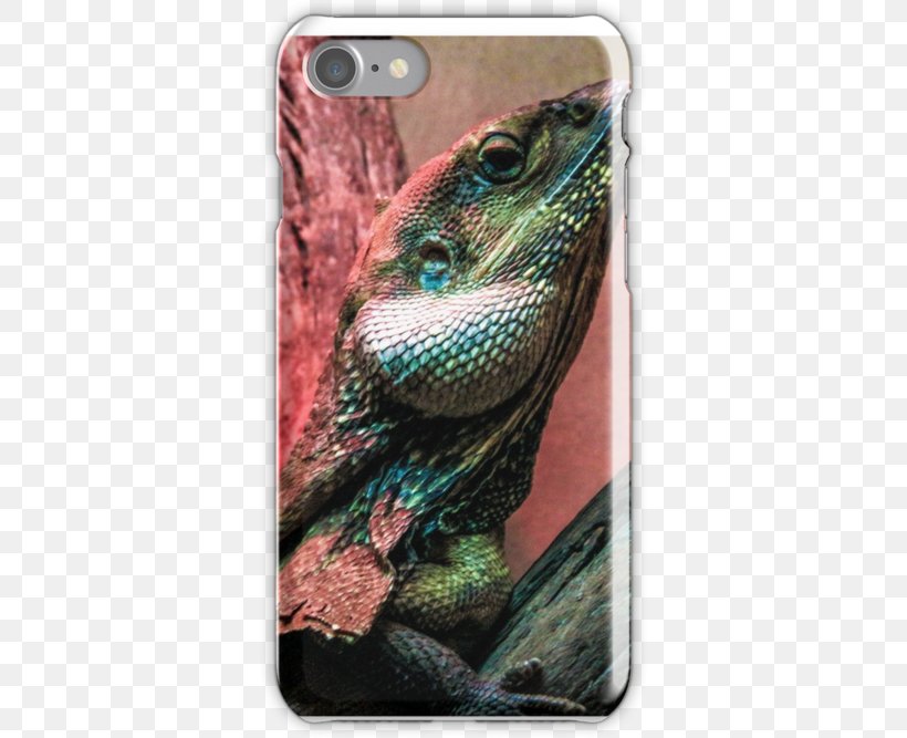 Iguanas Close-up, PNG, 500x667px, Iguanas, Closeup, Iguania, Lizard, Reptile Download Free