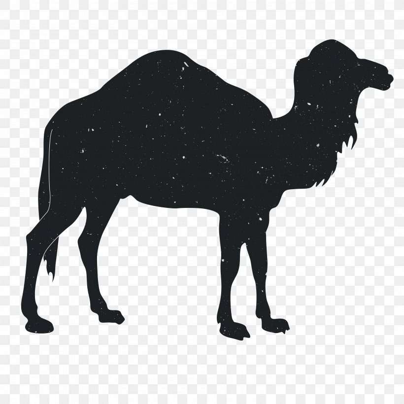 Wall Decal Printing Printmaking, PNG, 3600x3600px, Wall Decal, Animal, Art, Camel, Camel Like Mammal Download Free