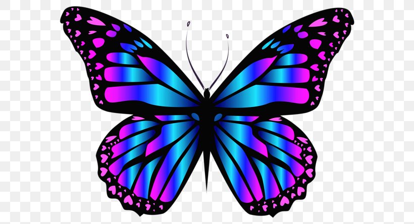Butterfly Insect Blue Clip Art, PNG, 600x444px, Butterfly, Blue, Brush Footed Butterfly, Color, Indigo Download Free