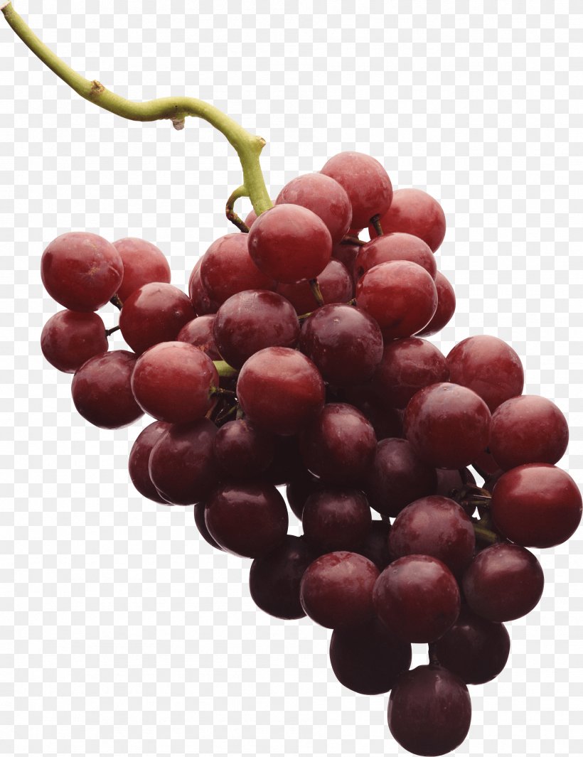 Common Grape Vine Clip Art, PNG, 1893x2459px, Red Wine, Berry, Cherry, Common Grape Vine, Cranberry Download Free