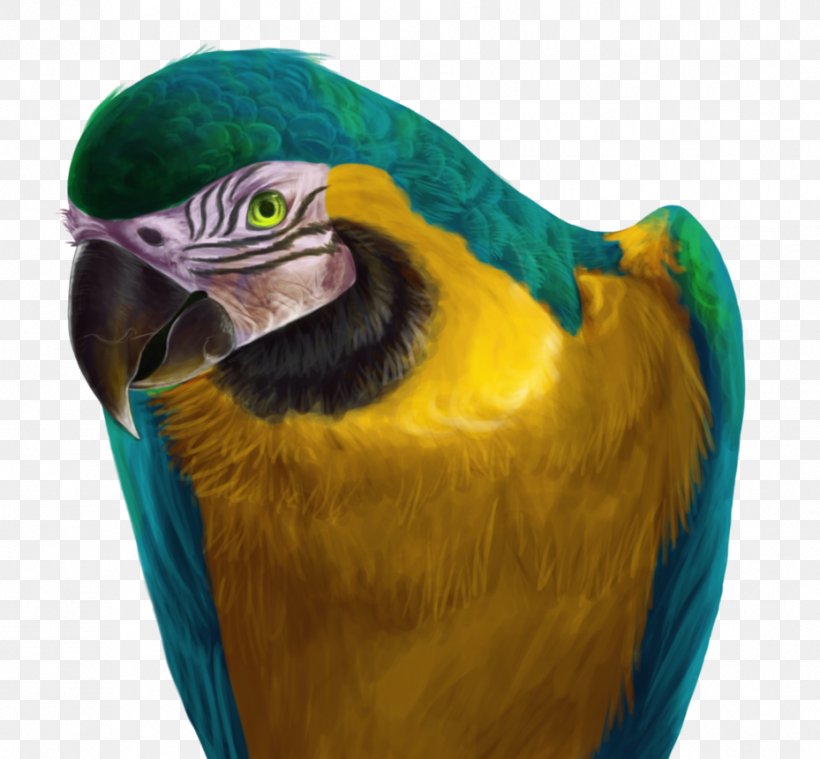 Parrot Blue-and-yellow Macaw Hyacinth Macaw Drawing, PNG, 929x861px, Parrot, Beak, Bird, Blueandyellow Macaw, Bluewinged Macaw Download Free