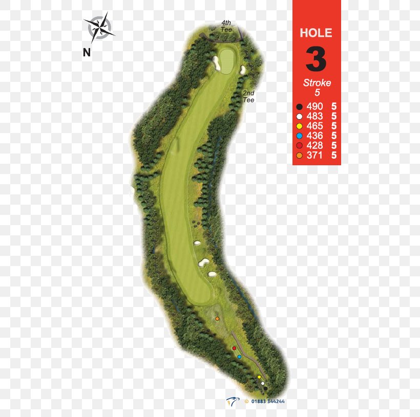 Golf Tees Squirrel Par Damme Golf & Country Club, PNG, 526x815px, Golf Tees, Ball, Damme Golf Country Club, Dog, Golf Download Free