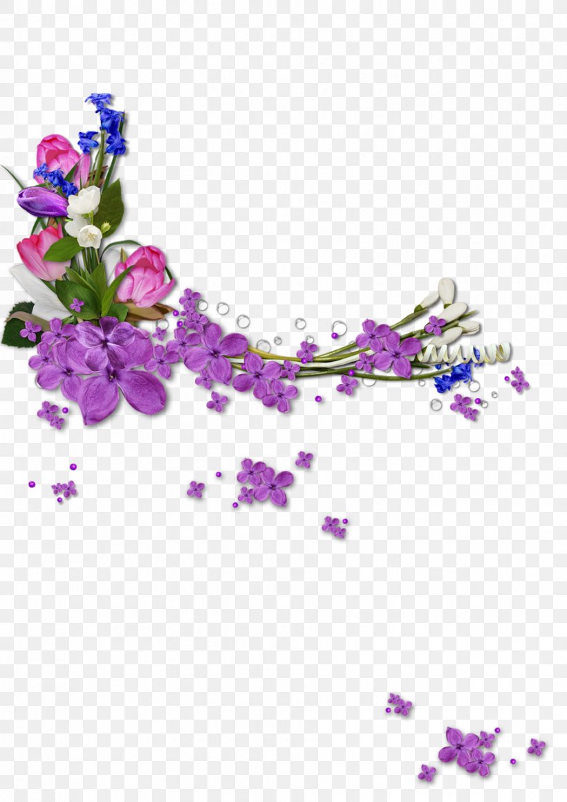 Lavender, PNG, 905x1280px, Violet, Blossom, Branch, Delphinium, Flower Download Free