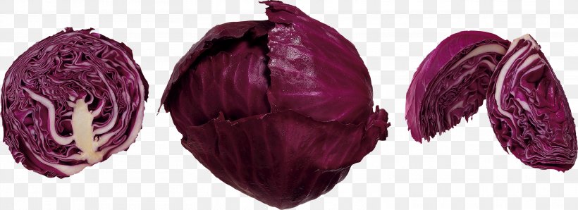Red Cabbage Red Slaw Vegetable Coleslaw, PNG, 3124x1139px, Red Cabbage, Brassica Oleracea, Cabbage, Chemistry, Coleslaw Download Free
