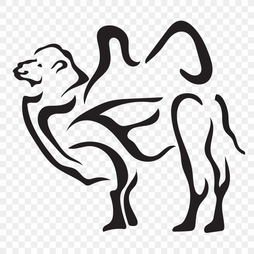 White Cartoon Black-and-white Camel Coloring Book, PNG, 1797x1797px, White, Blackandwhite, Camel, Cartoon, Coloring Book Download Free