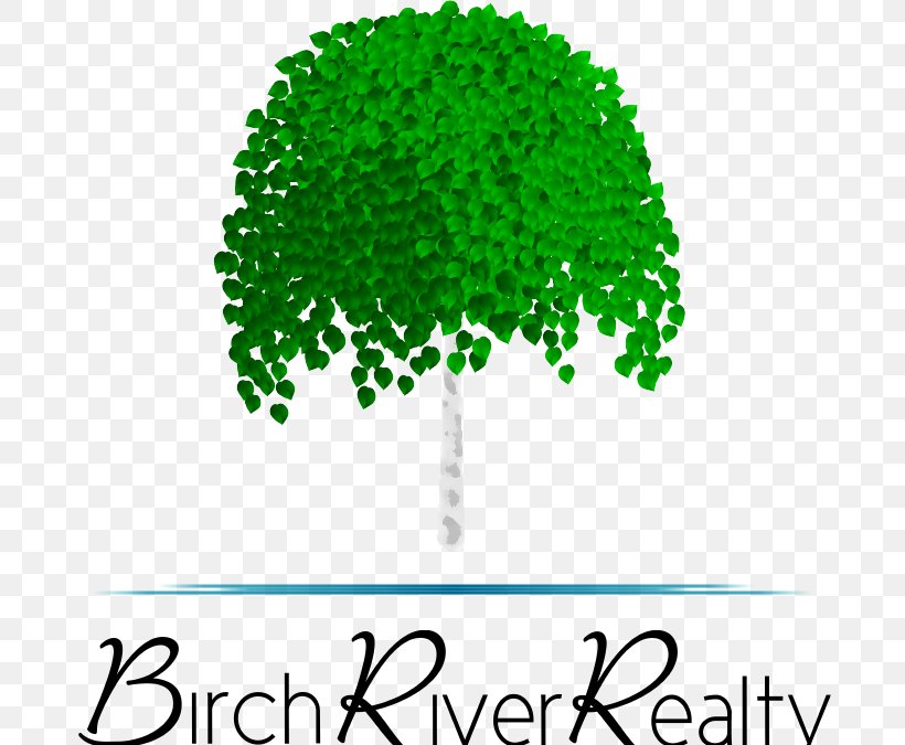 Birch River Realty Birch River Drive Achasta Tree River Birch, PNG, 717x675px, Achasta, Area, Birch, Brand, Dahlonega Download Free