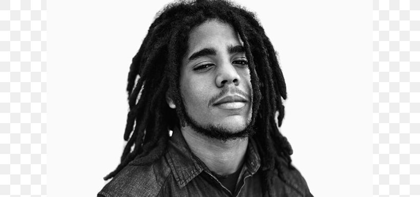 Bob Marley Reggae Musician Singer-songwriter, PNG, 800x384px, Watercolor, Cartoon, Flower, Frame, Heart Download Free