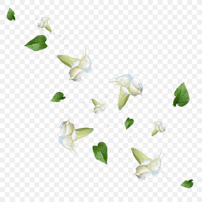 Flower Leaf Petal Download, PNG, 1024x1024px, Flower, Blume, Button, Floral Design, Grass Download Free