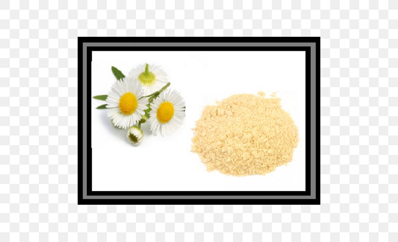 Chamomile Food Shampoo Herb Pancake, PNG, 500x500px, Chamomile, Antiaging Cream, Basmati, Commodity, Extract Download Free