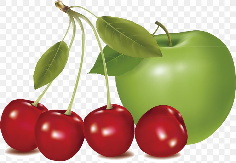 Cherry Fruit Vecteur, PNG, 1620x1123px, Cherry, Acerola, Acerola Family, Apple, Cerasus Download Free