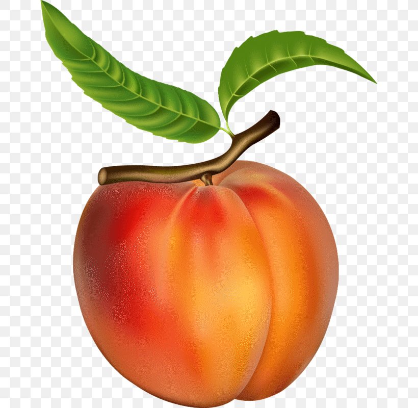 Juice Peach Clip Art, PNG, 662x800px, Juice, Apple, Apricot, Cherry, Diet Food Download Free