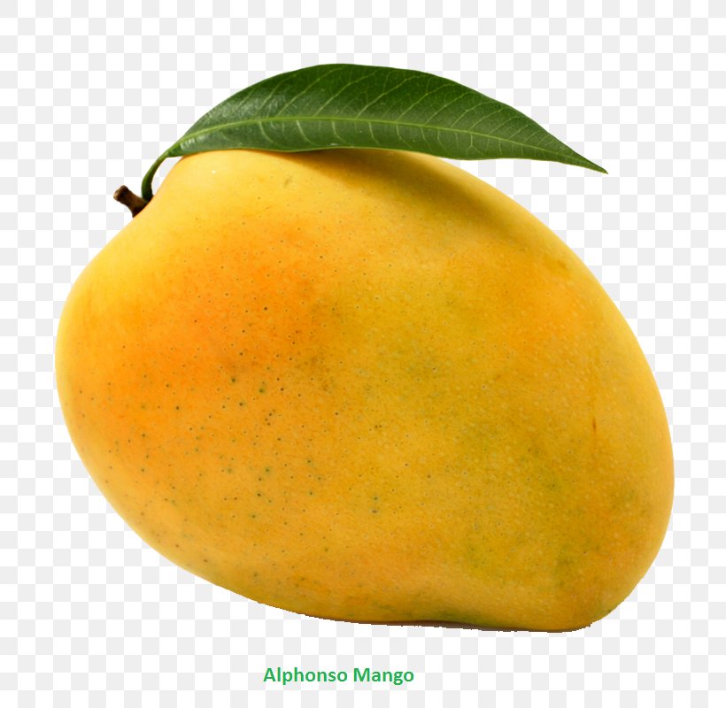 Mango Mangifera Indica Alphonso Benishan Banganapalle, PNG, 800x800px, Mango, Alphonso, Banganapalle, Benishan, Citron Download Free