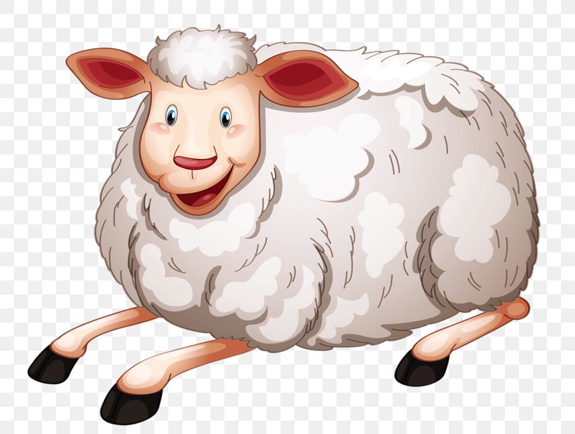 Sheep Royalty-free Clip Art, PNG, 800x619px, Sheep, Cartoon, Drawing, Livestock, Photography Download Free