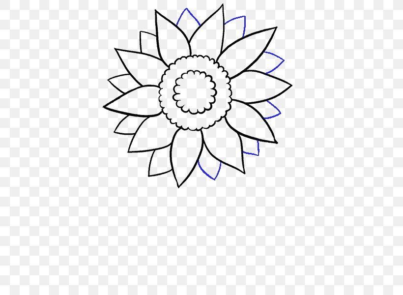 Drawing Common Sunflower Art Sketch, PNG, 678x600px, Drawing, Area, Art, Art Museum, Artist Download Free