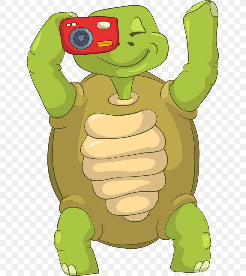 Turtle Photography Photographer Clip Art, PNG, 640x919px, Turtle, Amphibian, Art, Cartoon, Drawing Download Free