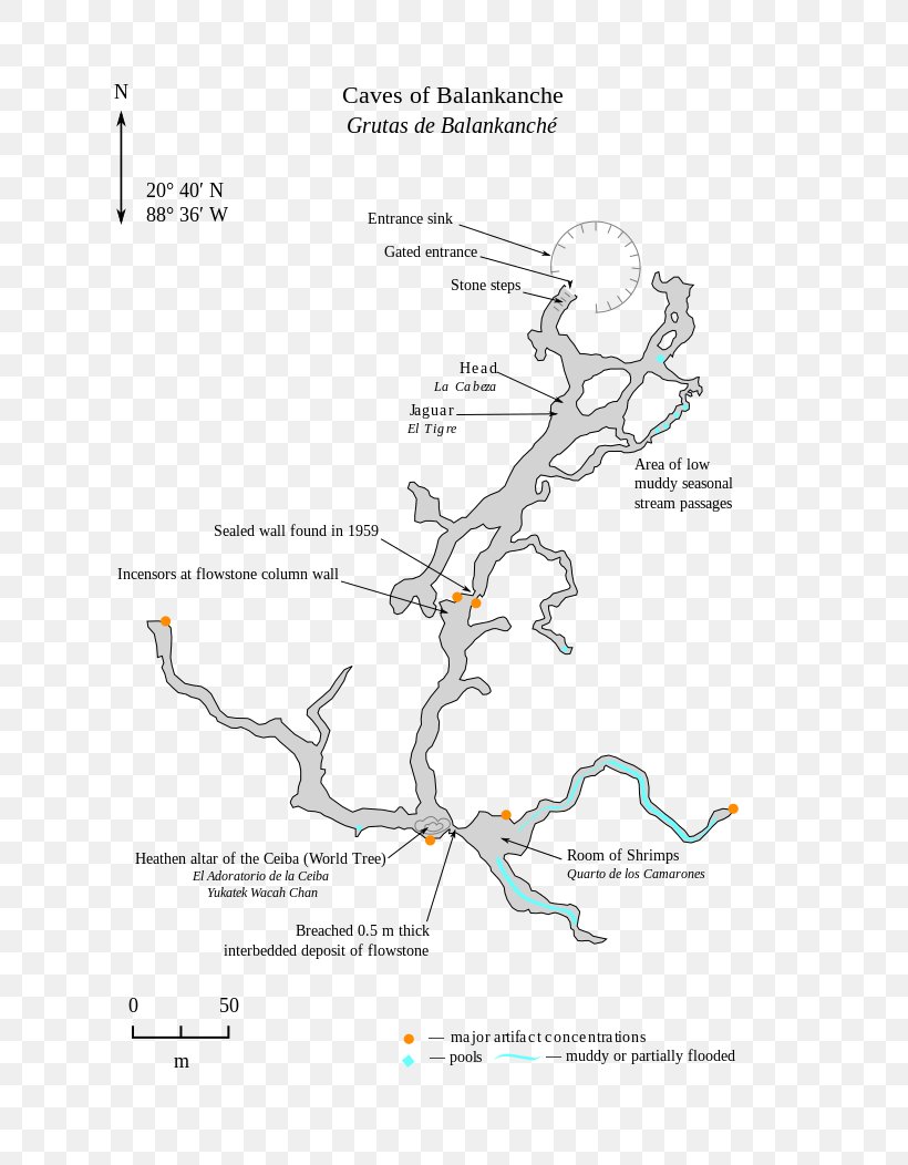 Line Angle Diagram, PNG, 744x1052px, Diagram, Animal, Area, Branch, Branching Download Free