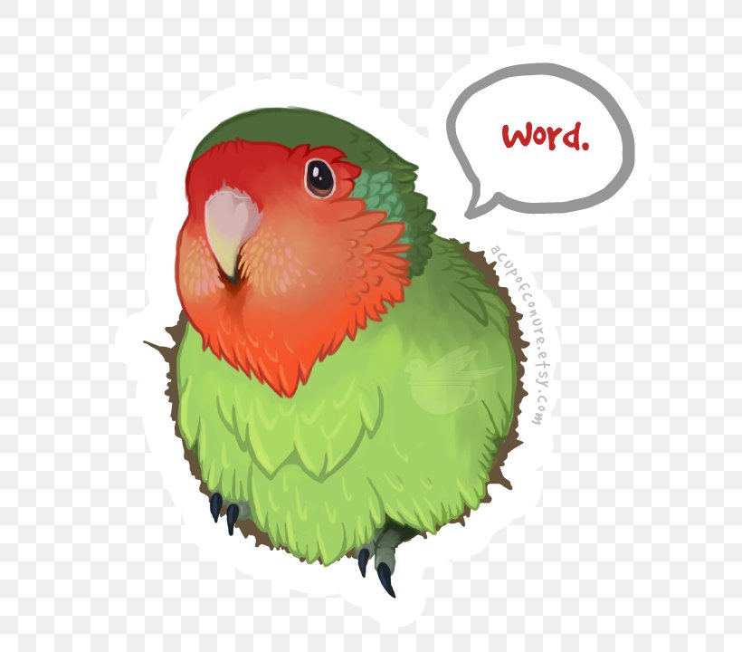 Macaw Parrot Parakeet Bird T-shirt, PNG, 720x720px, Macaw, Art, Bag, Beak, Bird Download Free