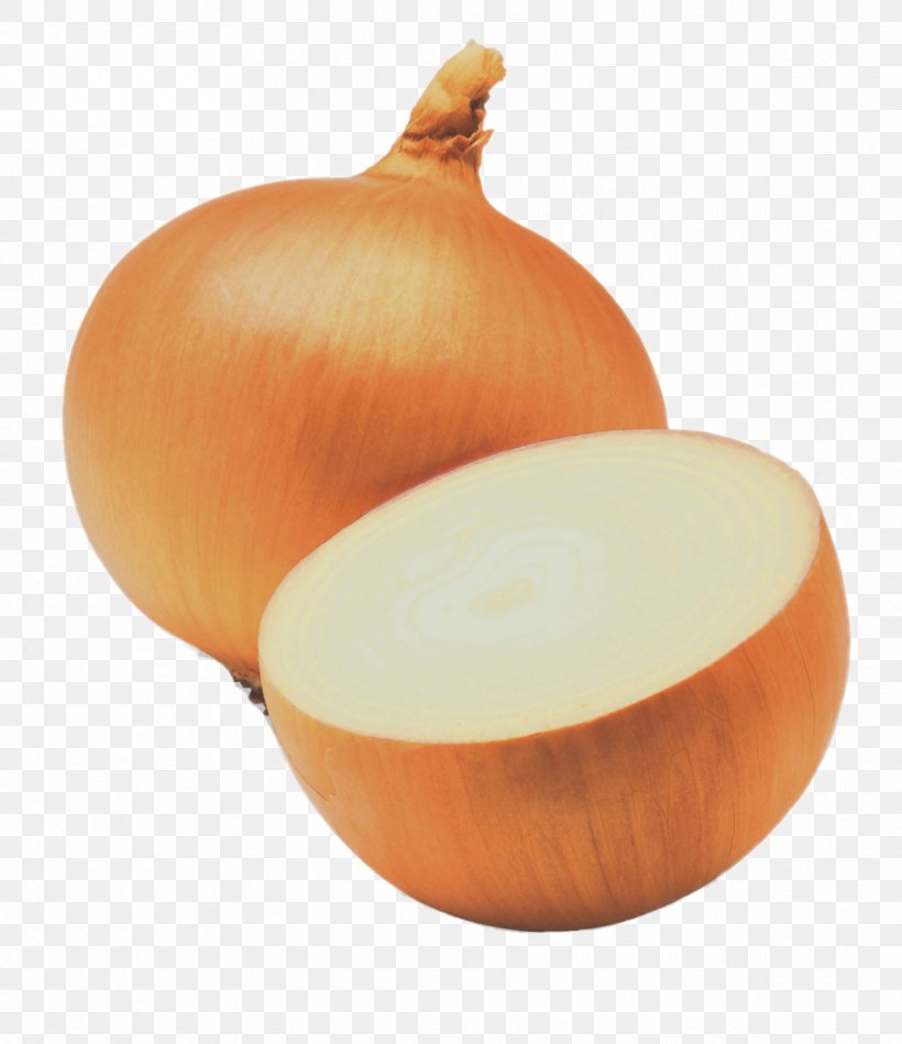 Shallot Sweet Onion Yellow Onion Red Onion White Onion, PNG, 884x1024px, Shallot, Bulb, Calabaza, Cooking, Cucurbita Download Free