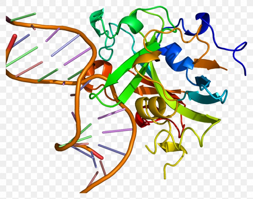 Uracil-DNA Glycosylase DNA-3-methyladenine Glycosylase Gene, PNG, 1084x852px, Watercolor, Cartoon, Flower, Frame, Heart Download Free