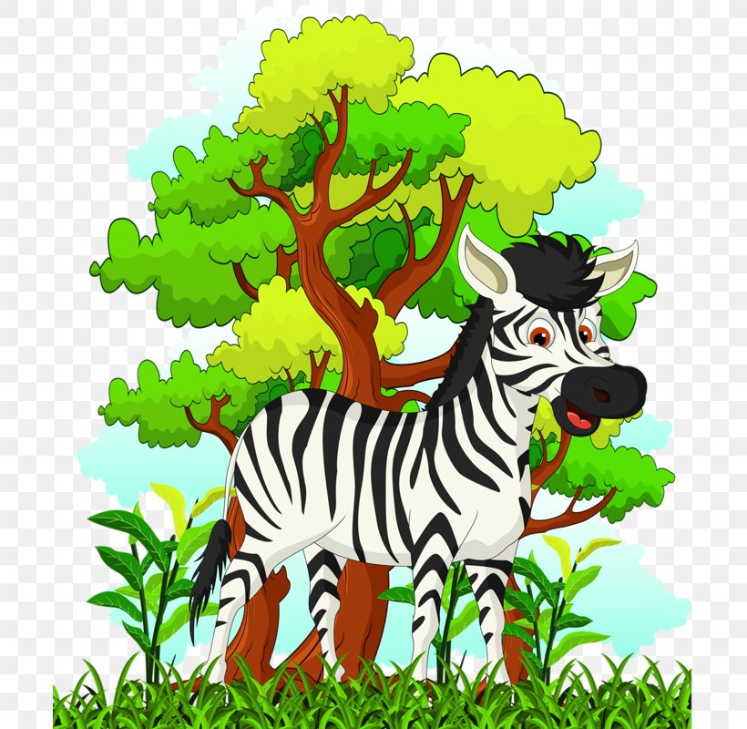 Zebra Cartoon Drawing Illustration, PNG, 704x800px, Zebra, Animation, Art, Cartoon, Cuteness Download Free