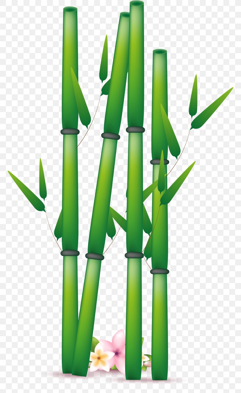 Clip Art Vector Graphics Bamboo Image, PNG, 768x1333px, Bamboo, Cartoon, Drawing, Flowerpot, Grass Download Free