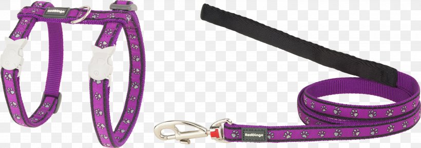 Leash Dog Collar Dog Collar Strap, PNG, 3000x1062px, Leash, Body Jewellery, Body Jewelry, Collar, Dog Download Free