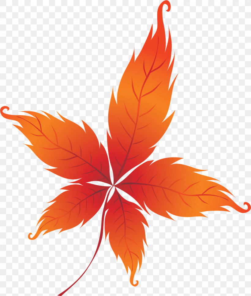Maple Leaf, PNG, 844x997px, Maple Leaf, Abscission, Autumn Leaf Color, Branch, Floral Design Download Free
