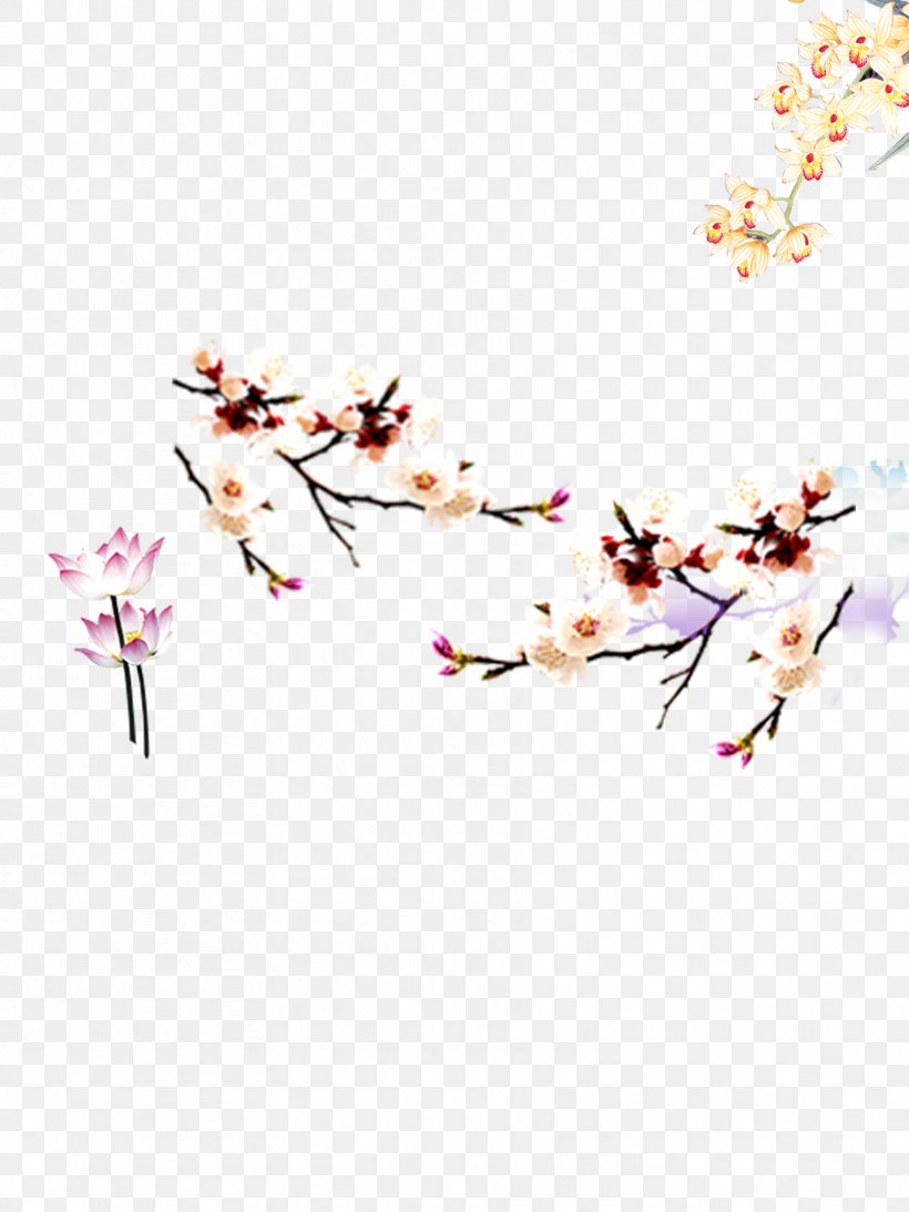 Plum Blossom Apricot Download, PNG, 1772x2362px, Plum Blossom, Apricot, Branch, Dots Per Inch, Flower Download Free