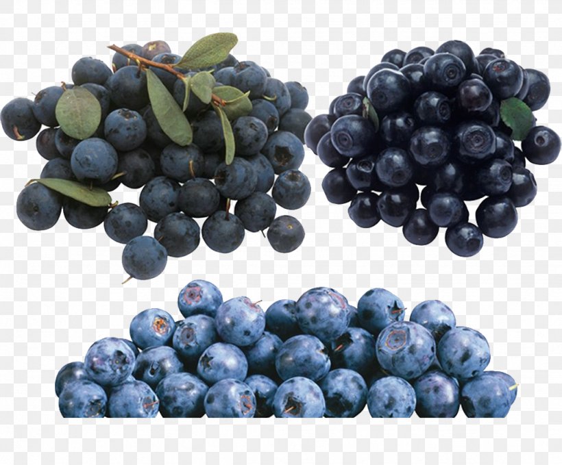 European Blueberry Clip Art, PNG, 1024x848px, Blueberry, Berry, Bilberry, European Blueberry, Food Download Free