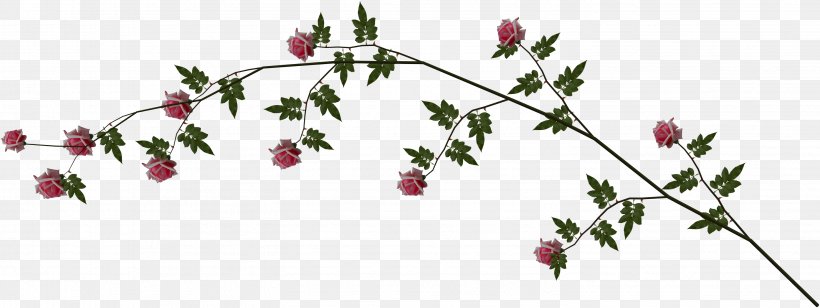 Floral Design Leaf Twig, PNG, 2956x1111px, Floral Design, Body Jewelry, Branch, Cut Flowers, Flora Download Free